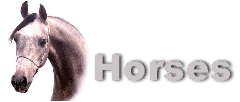 Back to Horse care index page.